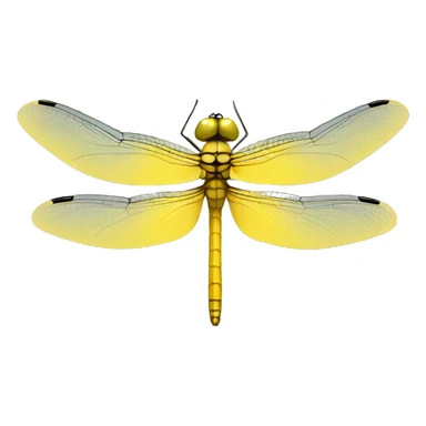 yellow symbolic dragonfly emoji sticker