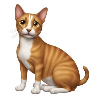 Cat sitting on wiener dog sticker