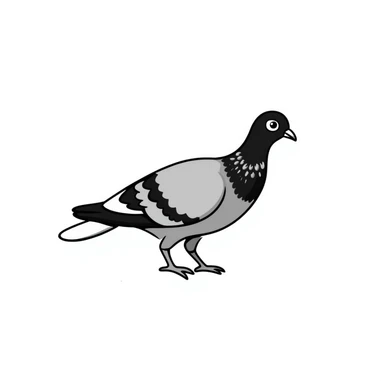 Nicobar pigeon with shimmering colorful feathers and white tail sticker