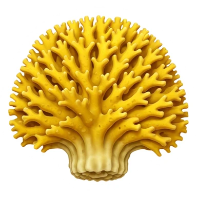 yellow Corals sticker