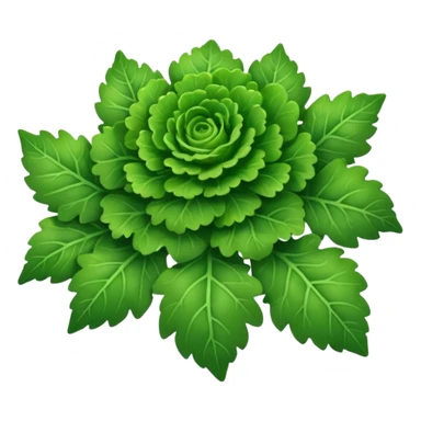 frisee leaves sticker