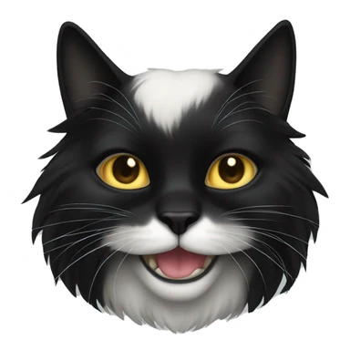 black cat long haired with muzzle half white sticker