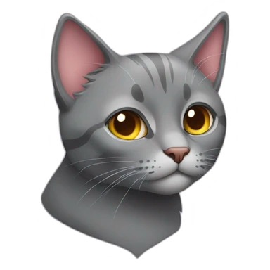 grey cat with big heart sticker