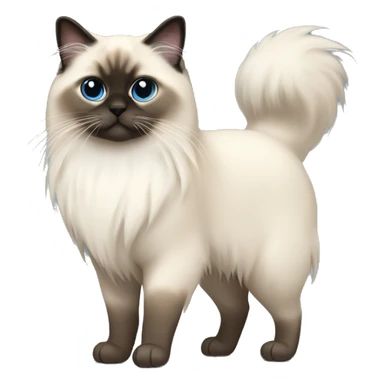 Full body birman cat long fur sticker