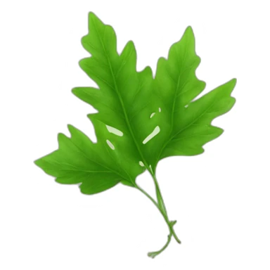 epazote leaves sticker