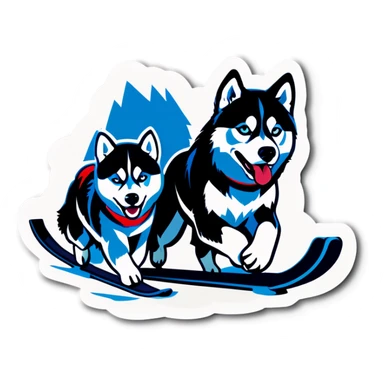 Team of Siberians huskies pulling sled sticker