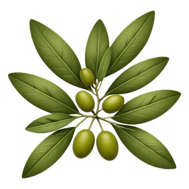 olive leaves sticker