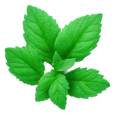 frozen mint with ice and snow on mint leaves sticker