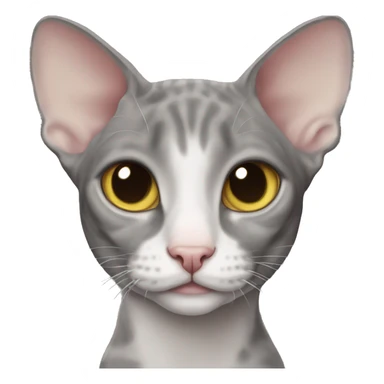 gray cat cornish rex sticker