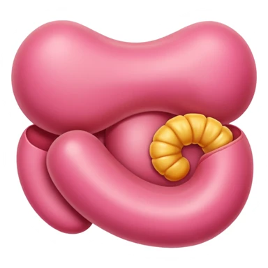 gut stomach sticker
