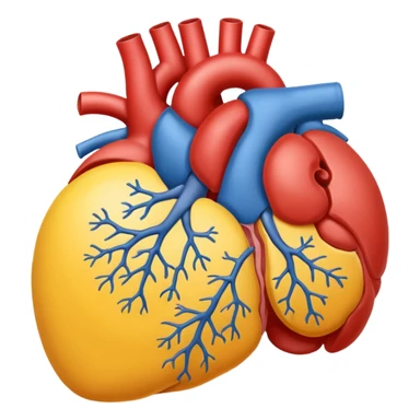 physiology medicine sticker