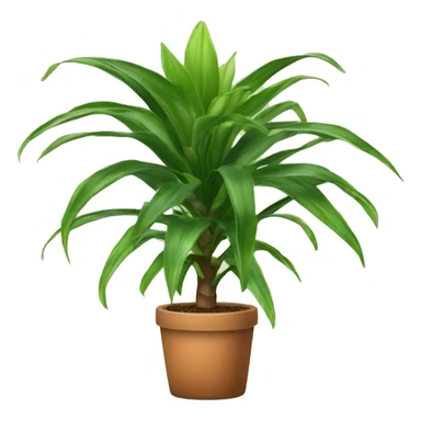 dracaena houseplant sticker