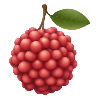 litchi sticker