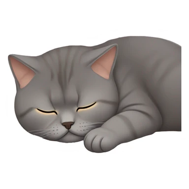 british shorthair Brown sleeping sticker