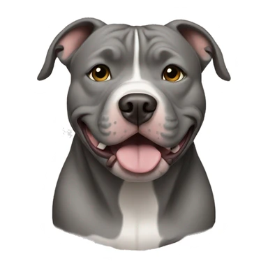 Grey pitbull without white sticker