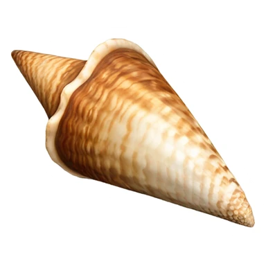 hebrew cone shell sticker