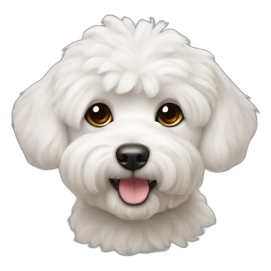Dog bichon maltés sticker