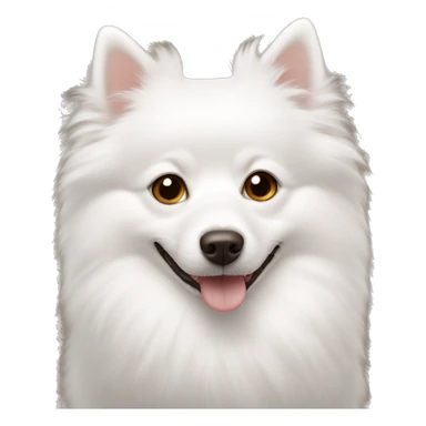 white spitz with brown eyes lies sticker