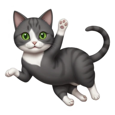 beautiful female solid dark grey cat with green eyes, white toes/paws and white patch on her chest playfully rolling upside down sticker
