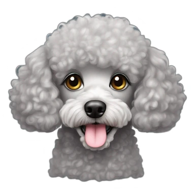Perrita poodle gris es rizada tiene los ojos café sticker