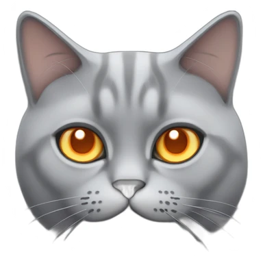 British grey fat cat orange eyes sticker