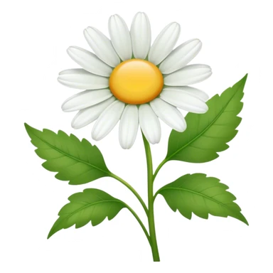 Cinematic Realistic Daisy Emoji, Cheerful and pure, with bright white petals surrounding a sunny yellow center, standing proudly atop a slender green stem. The soft, vibrant petals seem to radiate positivity, while a few green leaves frame the delicate flower. Soft glowing outline, capturing the essence of simplicity, innocence, and happiness in a single daisy. sticker