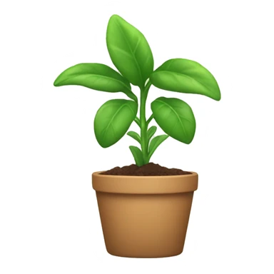 Plant with purol sticker