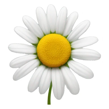 daisy flower sticker