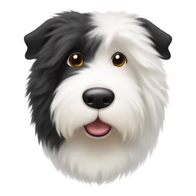 Old English sheepdog with a half and half face like a black (left) and white (right) cookie sticker