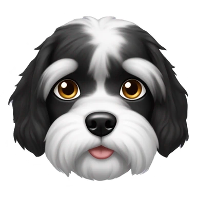 Shitzhu dog female black and white sticker