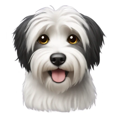 Black havanese  sticker
