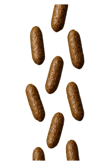 FECI DI ANIMALE A PALLINI LEGGERMENTE ALLUNGATI CADONO DALL'ALTO VERTICALMENTE, IPERREALISTICI 4K sticker