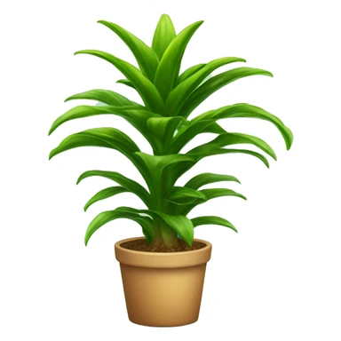 dracaena houseplant sticker