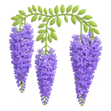 Detailed wisteria blossom with hanging clusters of lavender flowers in pendulous racemes and delicate green foliage sticker