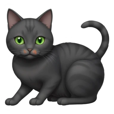 beautiful female solid dark grey cat with green eyes, white toes/paws and white patch on her chest rolling over sticker