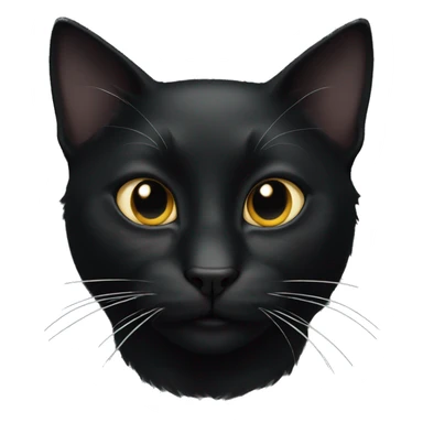black cat with a white spot sticker
