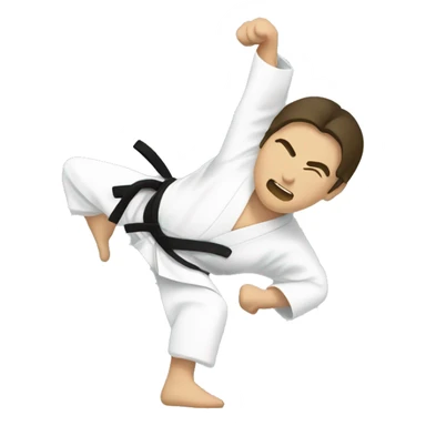 aikido technique sticker