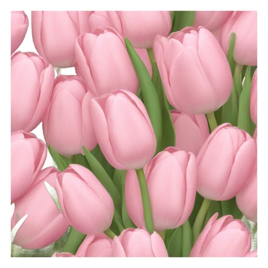 Pale pink bouquet of tulips sticker