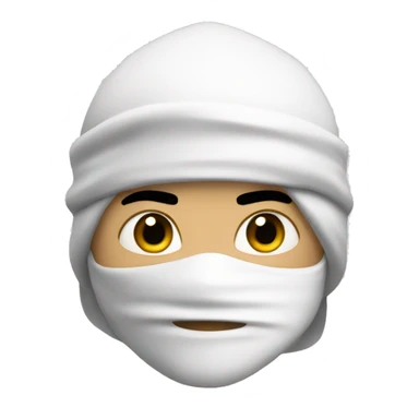 Ninja blanco  sticker