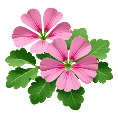 Pelargonier  sticker