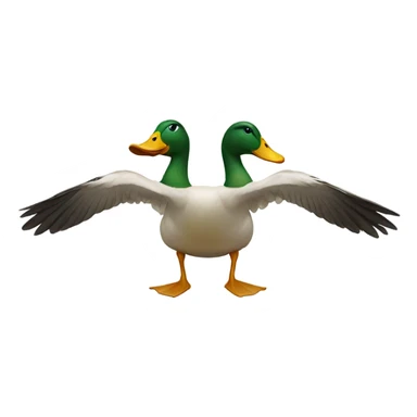 Duck doing half split  sticker