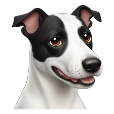 Black and white mix of a jack russel and a bullterrier sticker