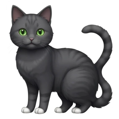 full body view of beautiful female solid dark grey cat with green eyes, white toes/paws and white patch on her chest sticker