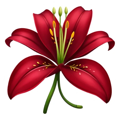 A lily flower in a dark cherry red colour sticker