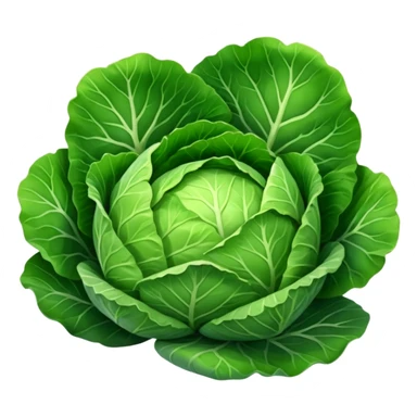 cabbage sticker