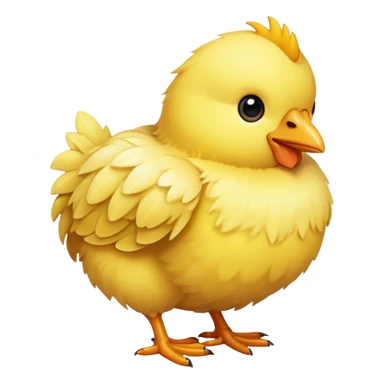 Pollito  sticker