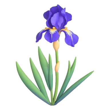 blue flag iris flower sticker