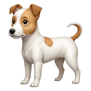 a full body slightly chubby white parson russell terrier looking dog the size of a kelpie with light brown long ears and a light brown patch on one eye and a large snout. the rest of the dog is completely whiteforward facing sticker