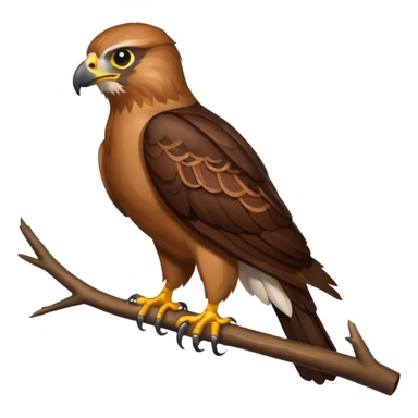 Hawk sticker