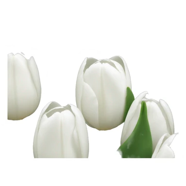 pretty white tulips  sticker